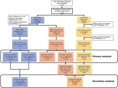 Differential levels of anti-Mycobacterium tuberculosis-specific IgAs in saliva of household contacts with latent tuberculosis infection